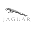 brandLogo